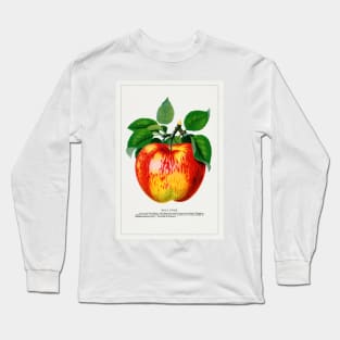 Wolf River Apple Lithograph (1900) Long Sleeve T-Shirt